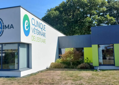 clinique veterinaire de l'estuaire savenay