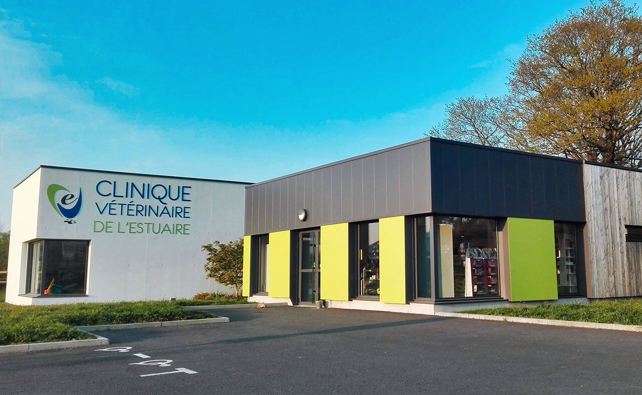 clinique veterinaire savenay